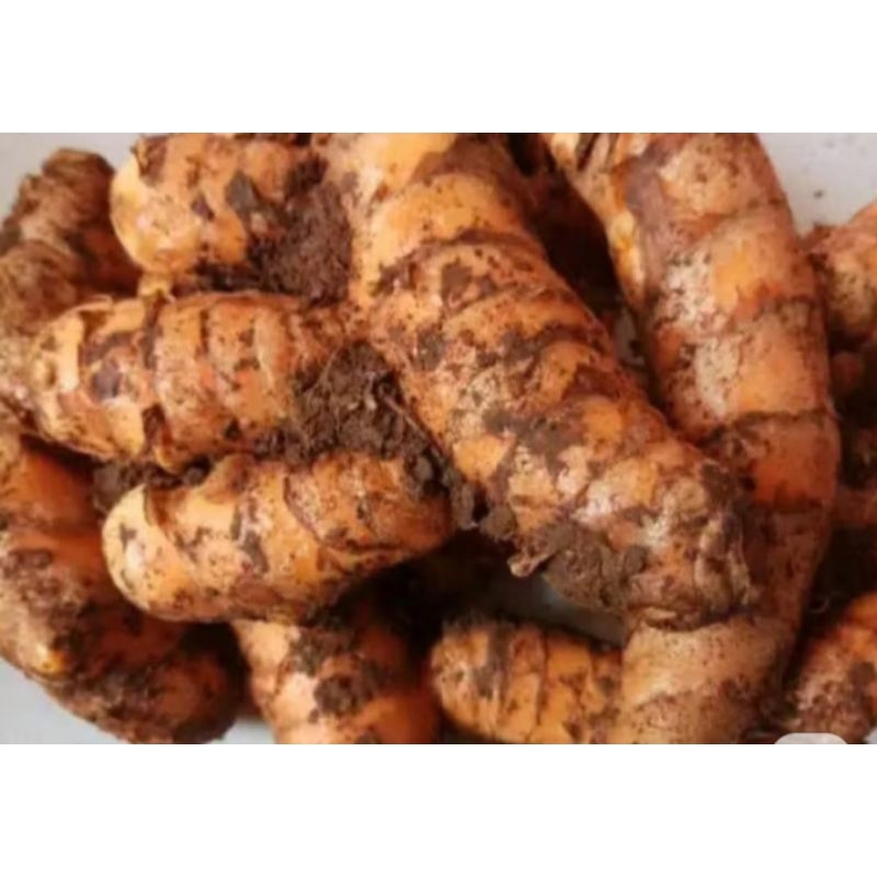 

kunyit kuning bumbu masak dapur juga herbal alami 1000 gram berkualitas