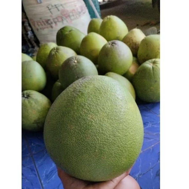 

Jeruk Pamelo Madu berat 1 kg