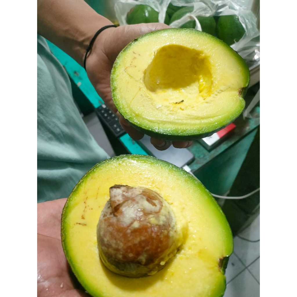 

Alpukat Markus Punel Daging Tebal (perbuah)