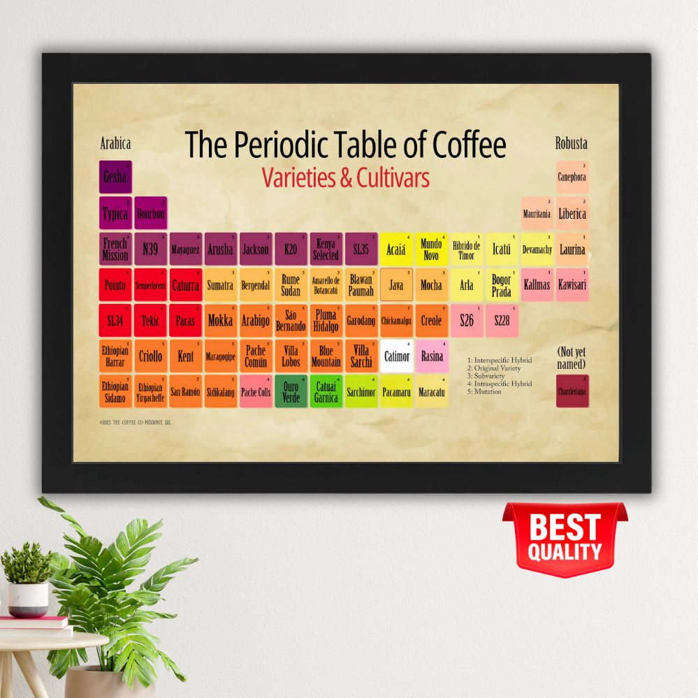 Poster Cofee Tabel Periodik A2 - Varietas Kopi Kultivar For Roastery  + Bingkai Kayu Premium