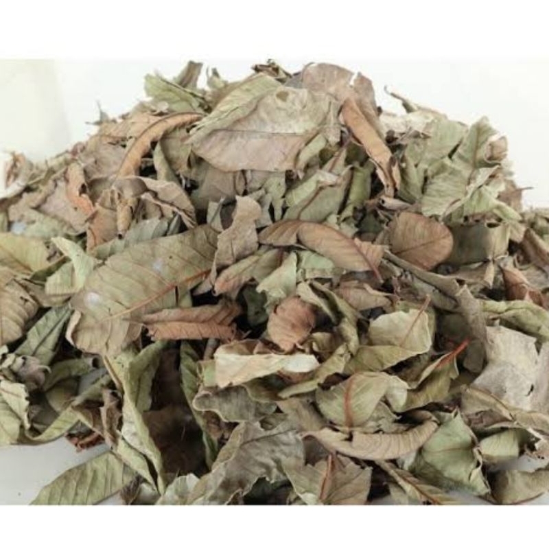 

Jual daun jambu biji kering organik 500 gram natural-az