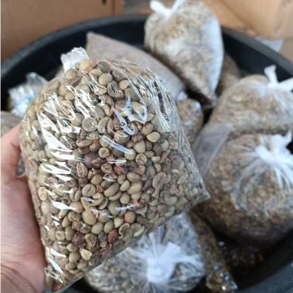 

BIJI KOPI MENTAH SUPER