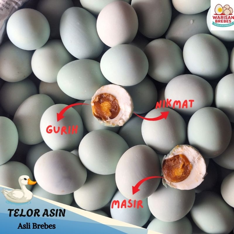 

Telor asin asli khas brebes//telor bebek rebus dan bakar//telor asin masir tidak terlalu asin