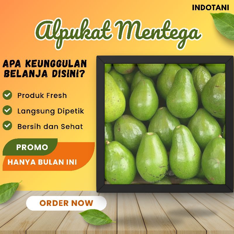 

INDOTANI_ Alpukat mentega / Alpukat Kualitas unggul