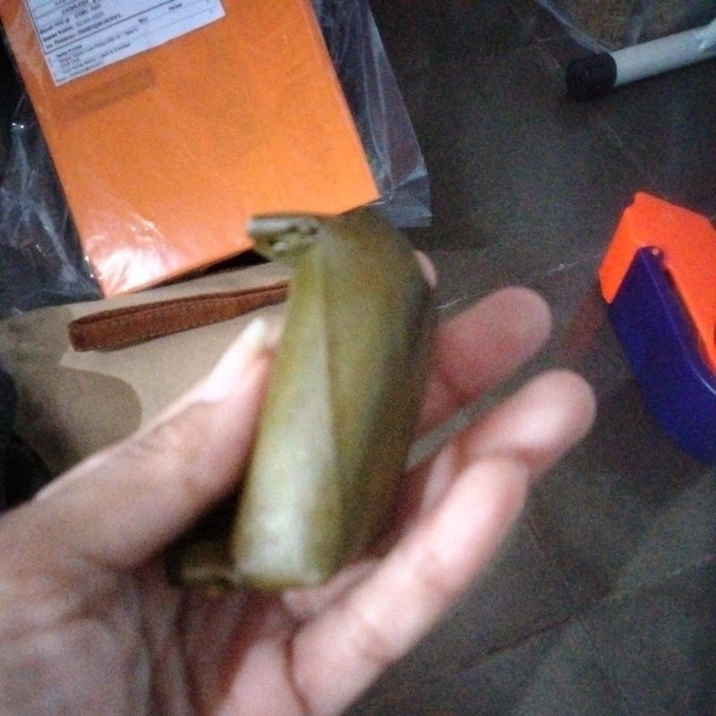 

paket lemper mini isi daging ayam