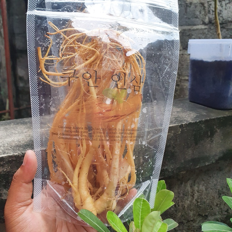 

ginseng fresh korea 125gram