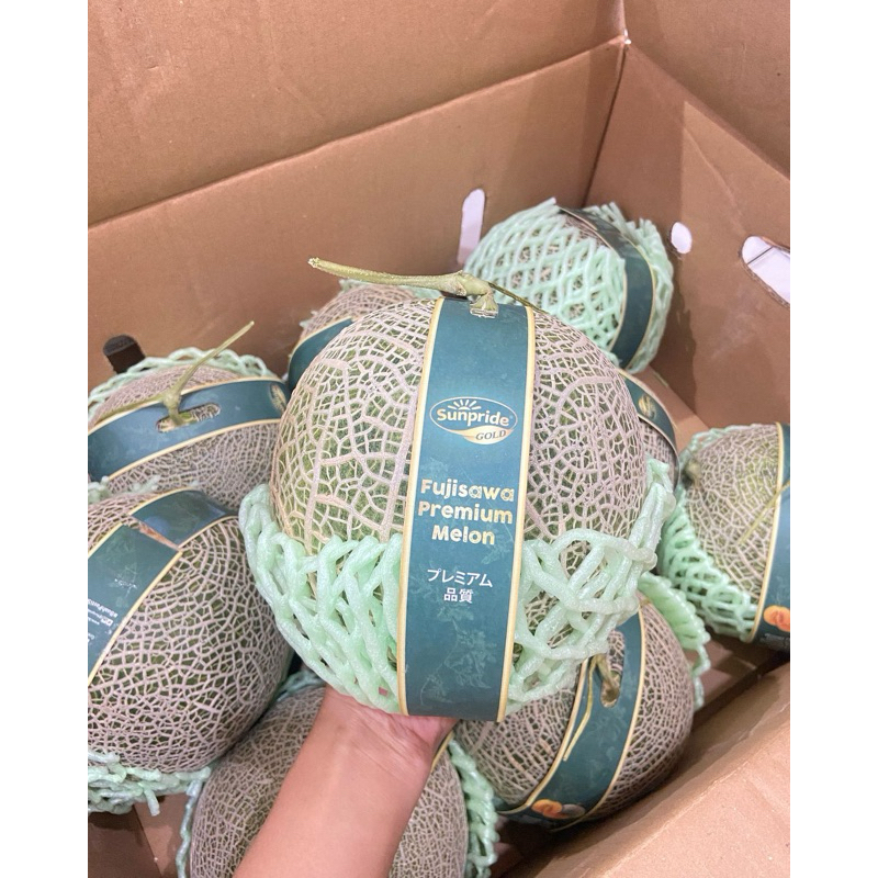 melon hidroponik honey sweet buah / pcscv