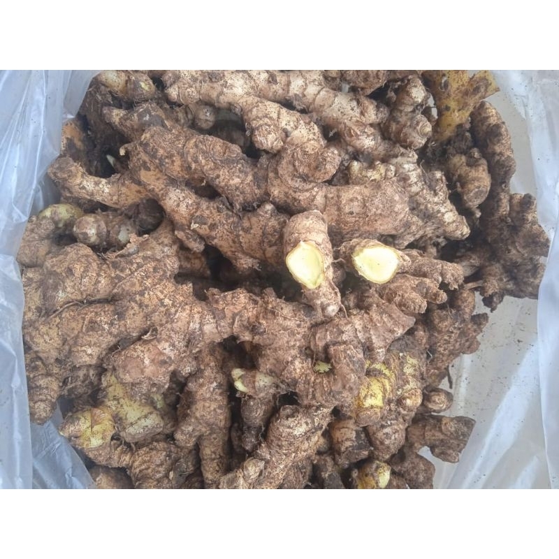

Lempuyang 1 kilogram