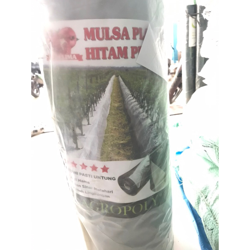 Mulsa Plastik Hitam Perak ukuran 60/120cm Panjang 500 meter.