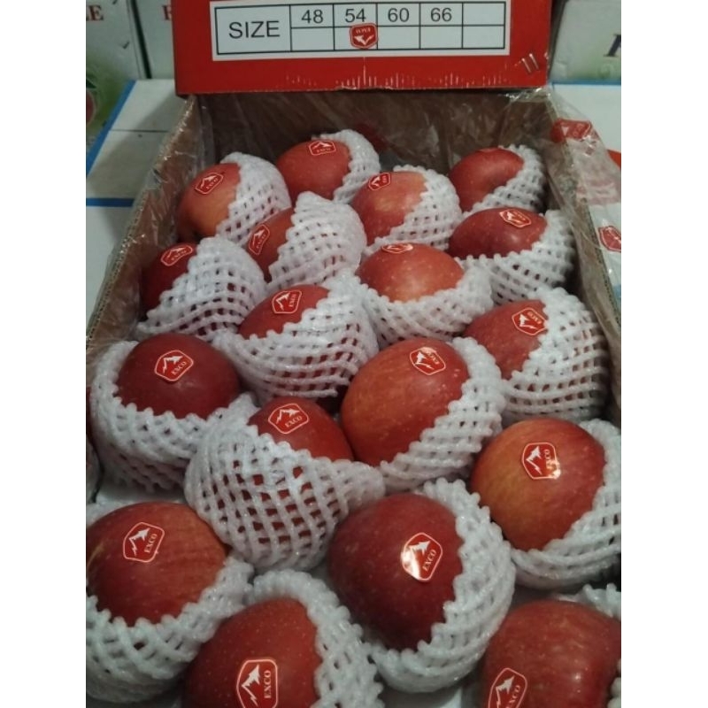 Indukbuah Buah Apel Fuji Manis 1 Dus