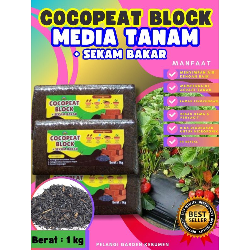 SOLUSI AMPUH  Cocopeat Halus, Cocopeat Hidroponik