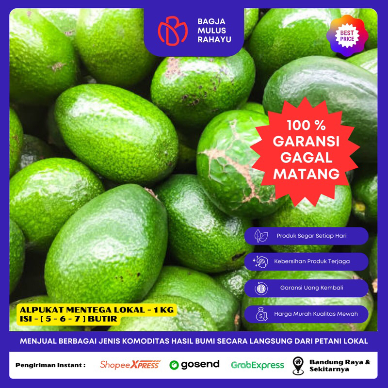 

Alpukat Mentega Lokal - 1 KG - [ Isi 5 - 6 Butir ] - Buah Alpukat Mentega Lokal Bergaransi