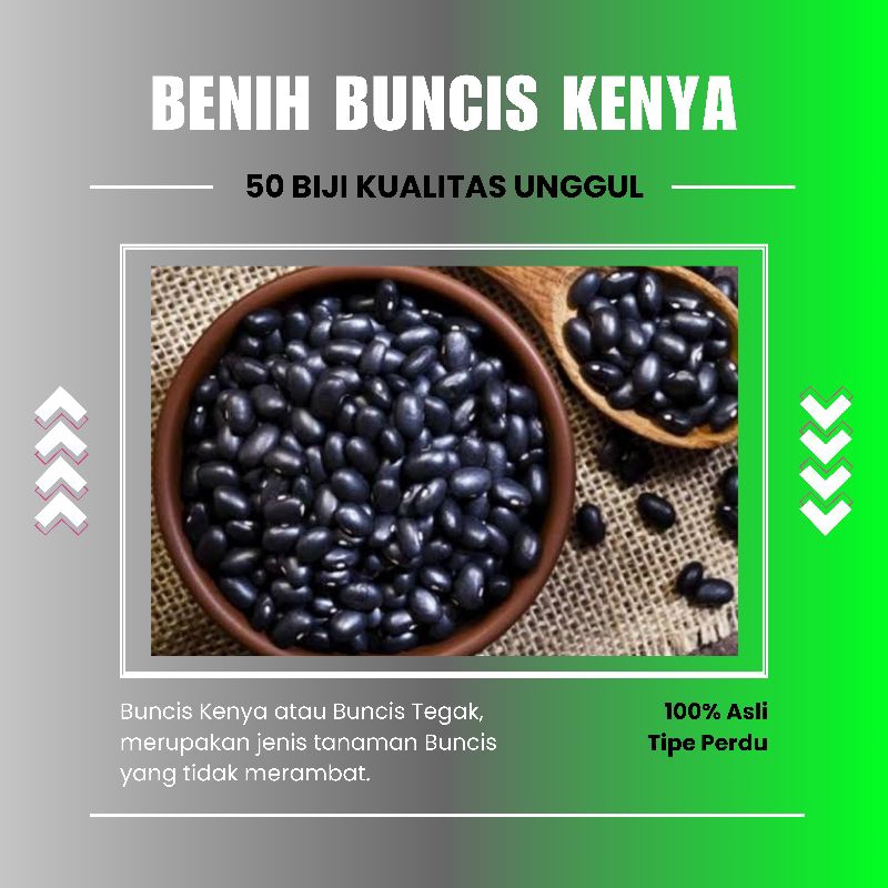 INDOTANI_ 50 biji Buncis Kenya / Buncis Perdu Unggul Tidak merambat