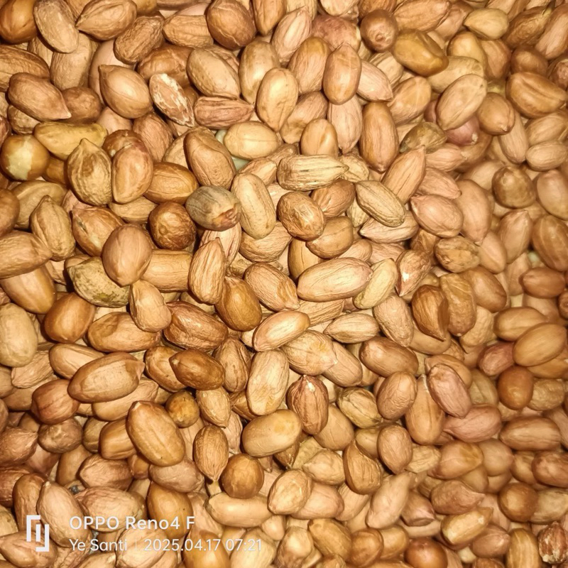

Kacang Tanah 250gr