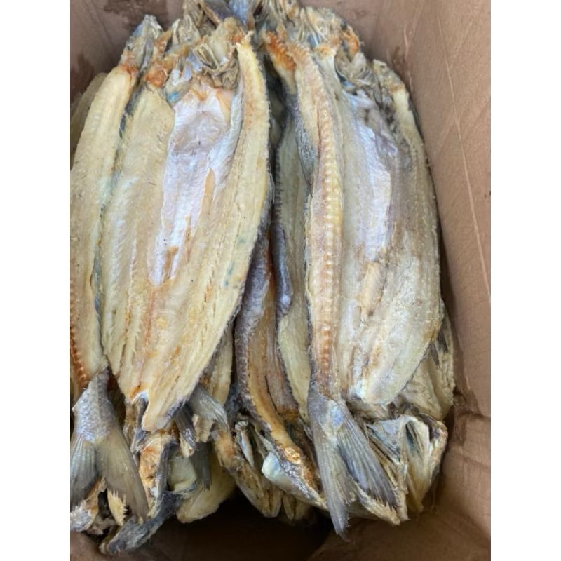 

IKAN BLOSO /GABUS LAUT ASIN GURIH 250GR