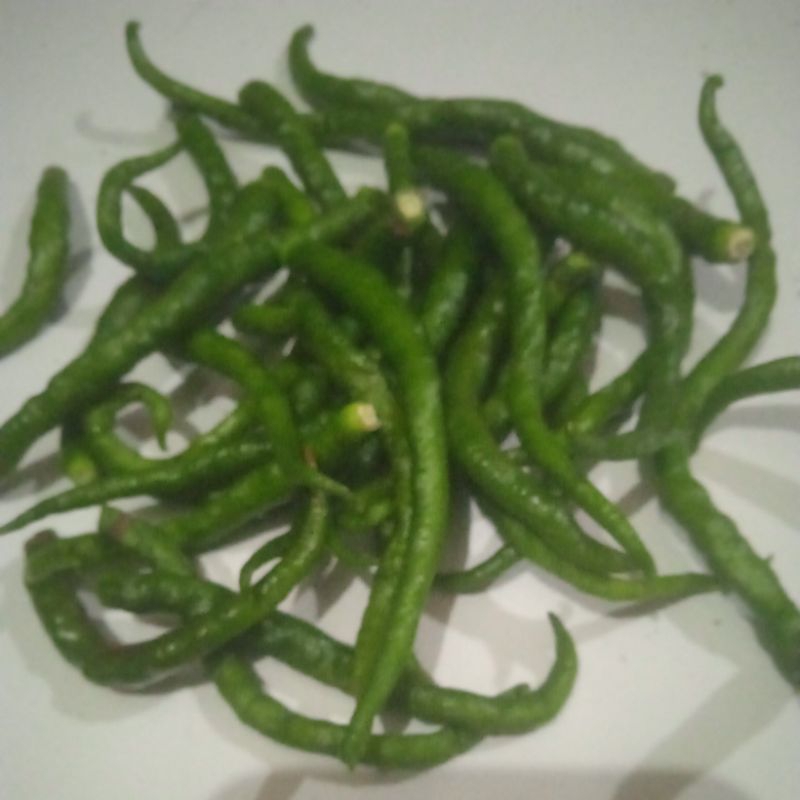 

cabai hijau keriting