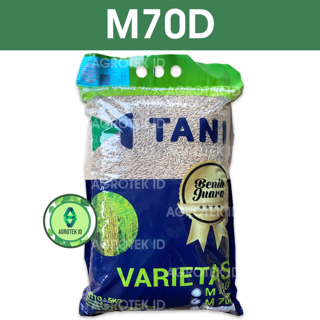 Benih Padi M70D 5 Kg Genjah Umur 70 HST