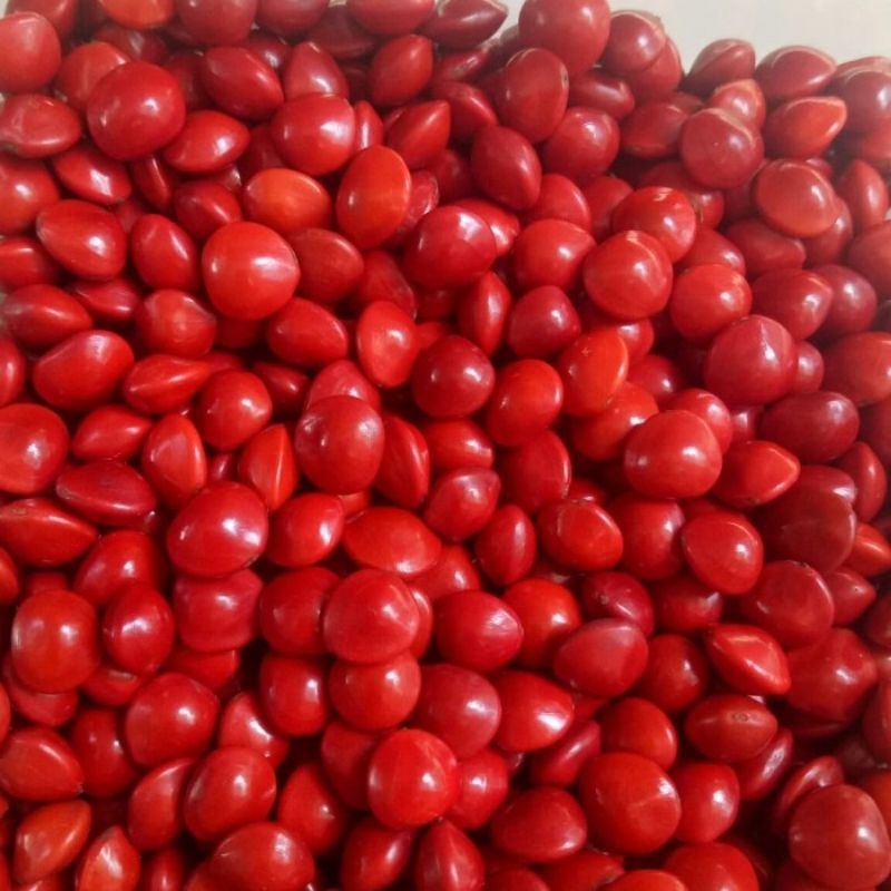 

Biji SAGA MERAH 1kg Bersih Kwalitas Premium