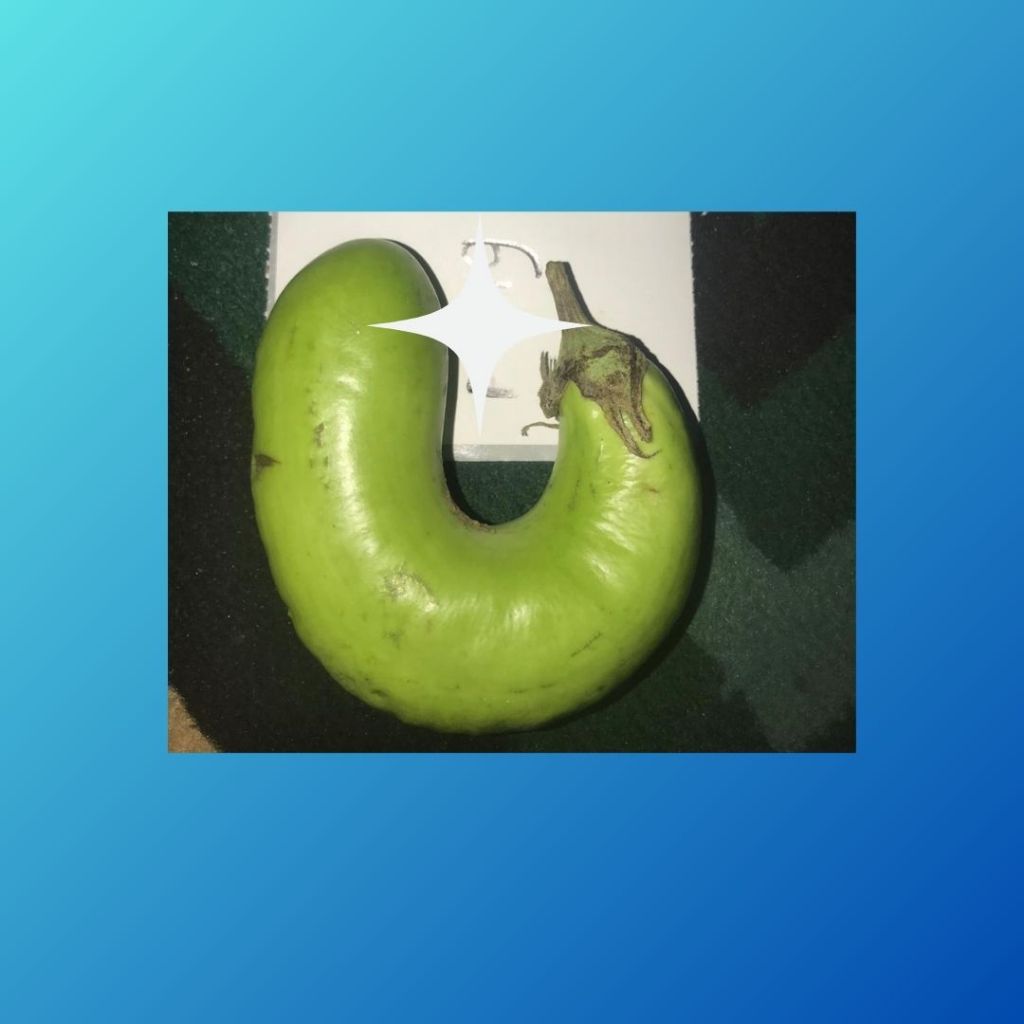 

sayur terong segar 1kg