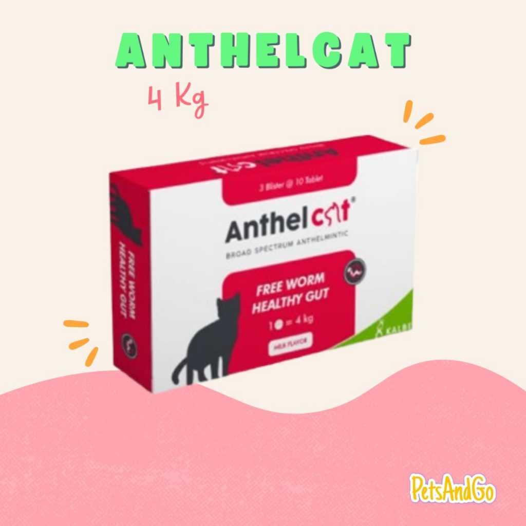Obat Cacing Kucing - Obat Cacing Anthel Cat Kucing  [ORIGINAL] DIJUAL PER BOX