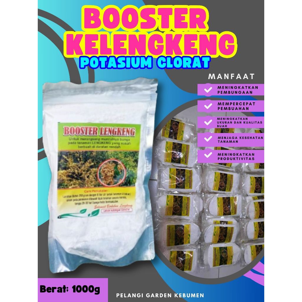 PROMO  Booster Kelengkeng Merah Cangkok Berbuah, Booster Kelengkeng Matalada, Booster Kelengkeng Mer