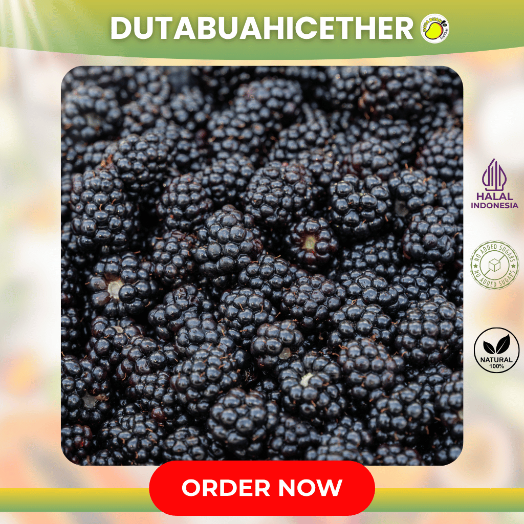 

Blackberry Frozen Buah Beku Siap Konsumsi untuk Smoothie atau Topping | Bandung | Duta Buah Icether