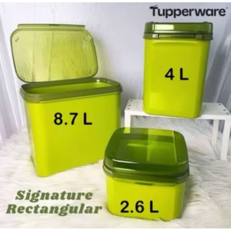 Harga signature rectangular tupperware Terbaru Nov 2025 | BigGo Indonesia