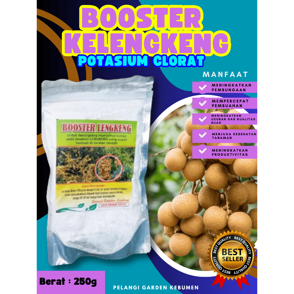 TERLARIS  Booster Kelengkeng Murni , Booster Kelengkeng Merah, Booster Kelengkeng Matalada Berbuah