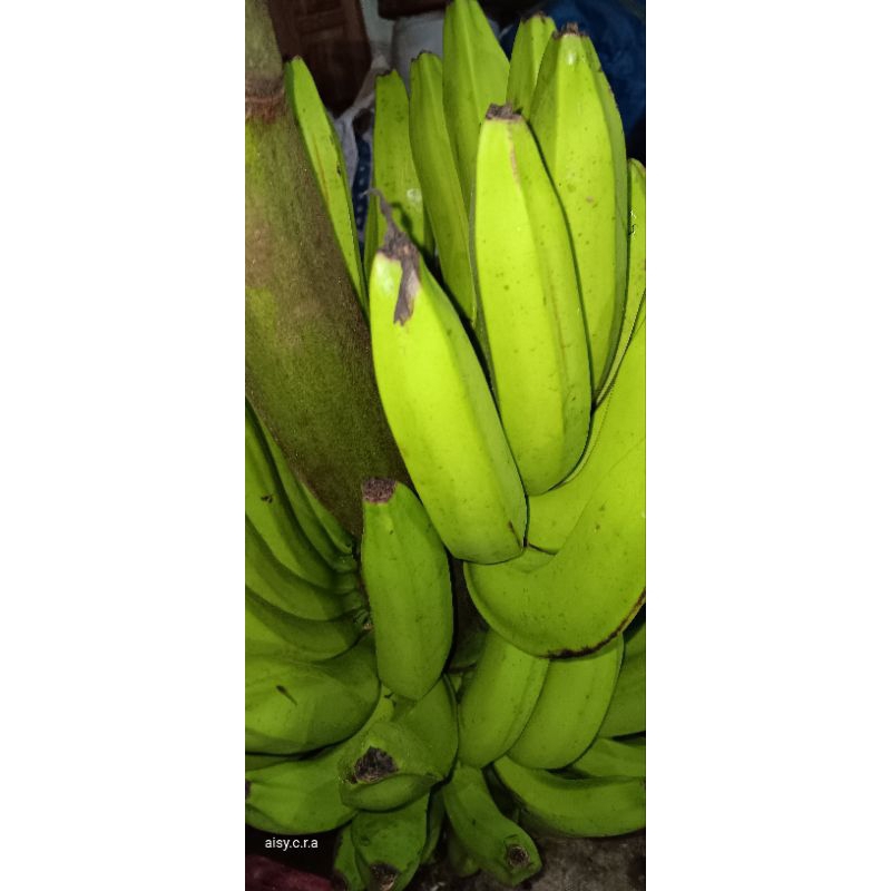

1kg PISANG AMBON/kobana/ DIKIRIM KEADAN MENTAH