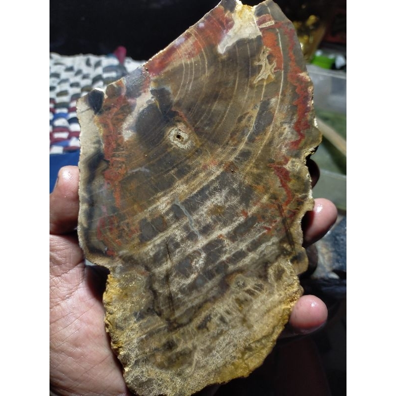 bahan batu fosiI kayu motif dan bercombong