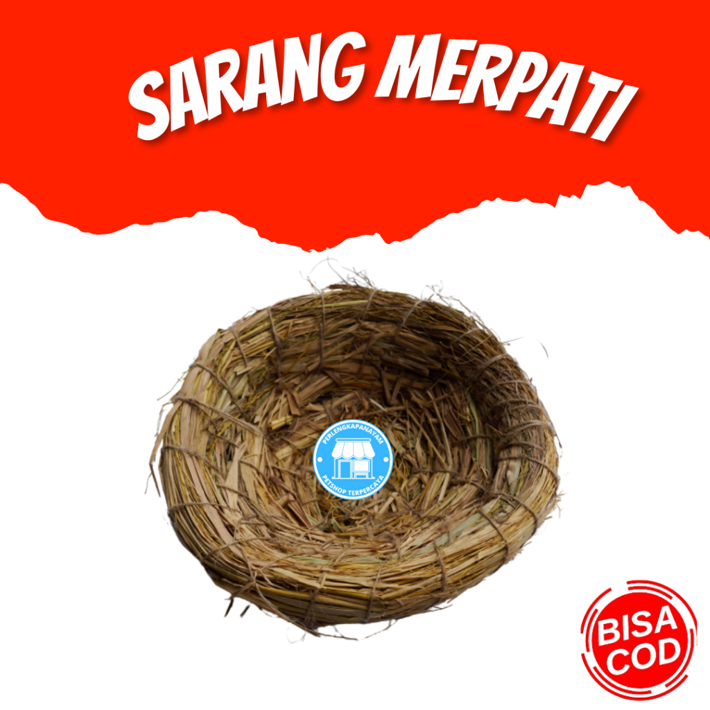 SARANG MERPATI Sarang Burung Dara Sarang Burung Love Bird Sarang Bertelur Burung