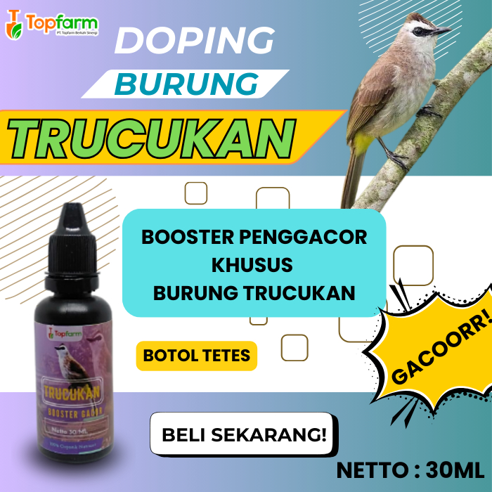 Vitamin Burung Trucukan Gacor/ Vitamin Burung Trucukan/ Vitamin Trucukan Biar Gacor/ Obat Burung Tru