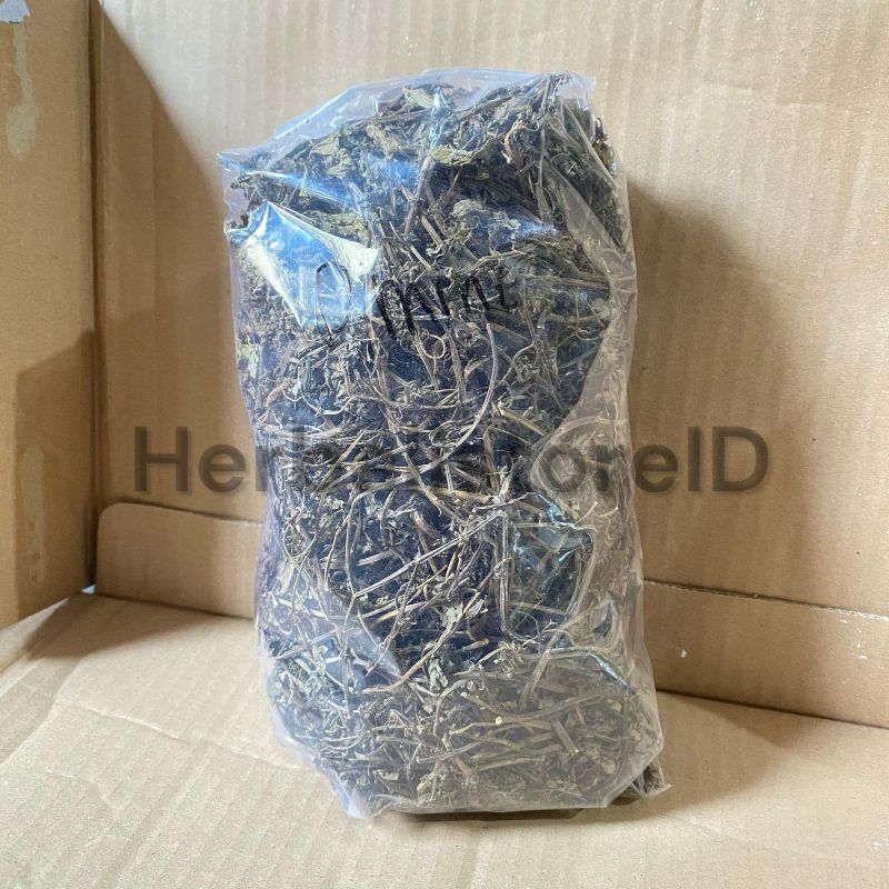 

Daun Imprit / Lempuyang Kering Kemasan 100gram Asli berkhasiat