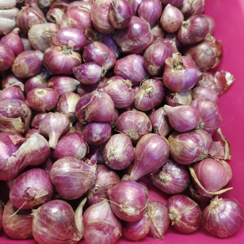 

BAWANG MERAH PROBOLINGGO KEMASAN 1KG