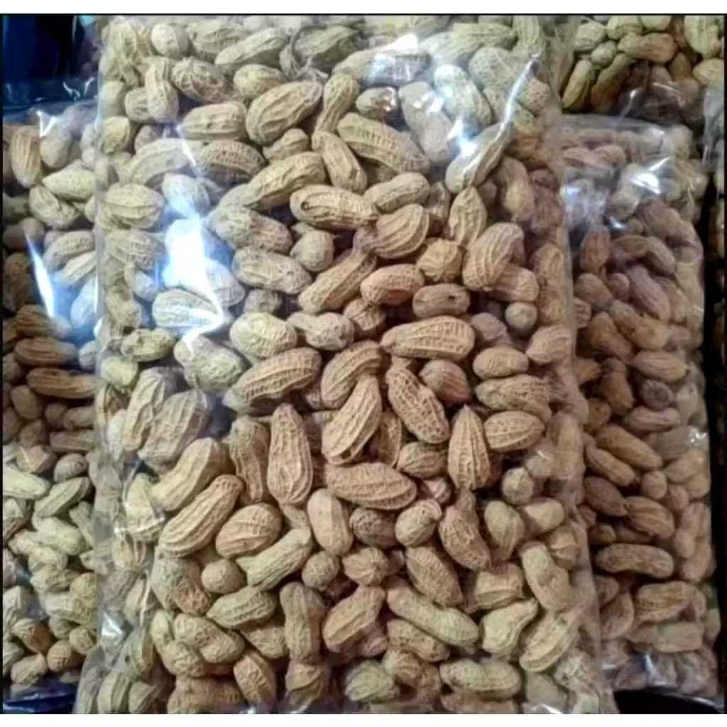 

Kacang Kulit 500gr dan 1kg KHAS MADURA, Kualitas Super, Halal, Gurih, Manis, dan Renyah