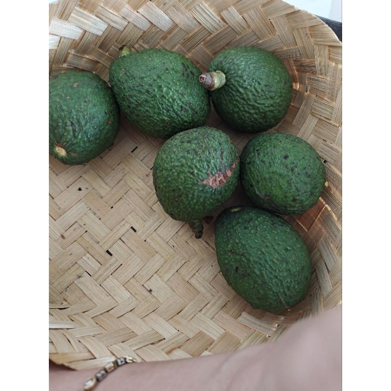 

alpukat hass sangat pulen 500gram 1kg