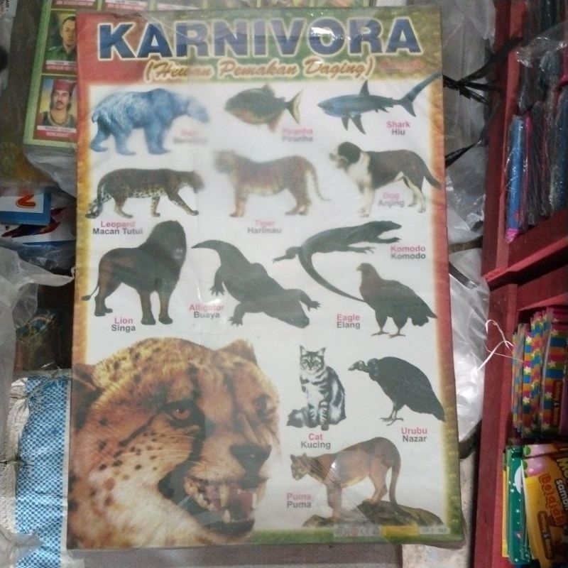 Poster Hewan Pemakan Daging