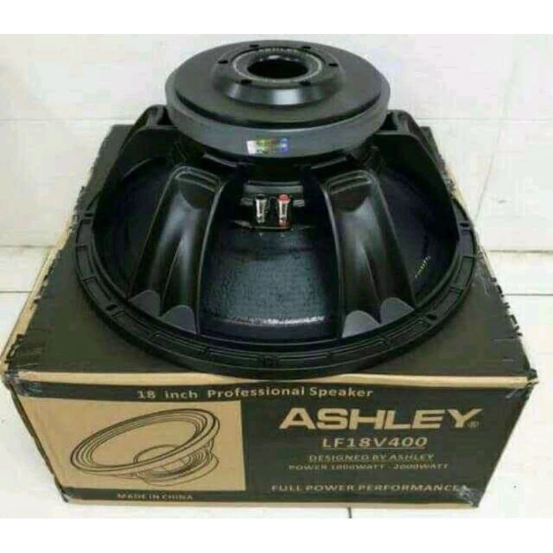 SPEAKER_ASHLEY_18V400