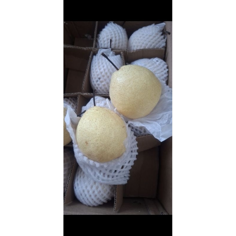

Sweet Pear 1kg Malang Kota