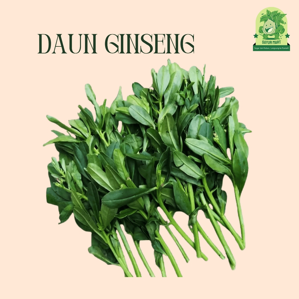 

Daun Ginseng 200 Gram