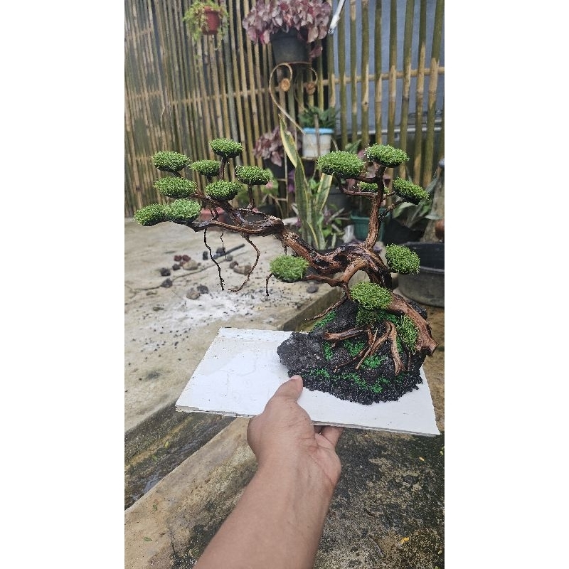 Aquascape bonsai sintetis