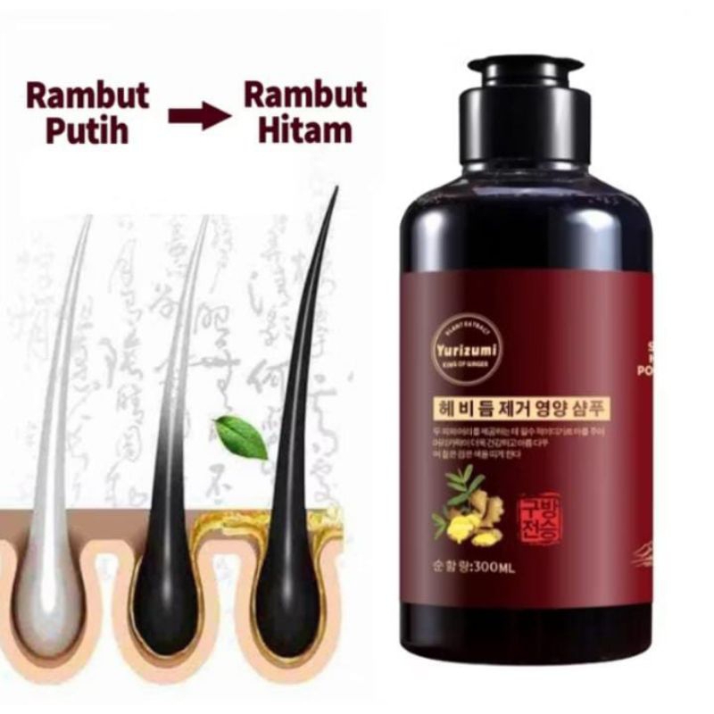 PENGHILANG UBAN SHAMPOO SHAMPO PENGHITAM RAMBUT MENGHILANGKAN RAMBUT PUTIH UBAN UBAH RAMBUT UBAN JAD