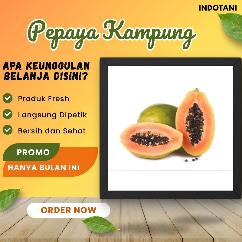

INDOTANI_ Pepaya Kampung / Pepaya Lokal per Buah