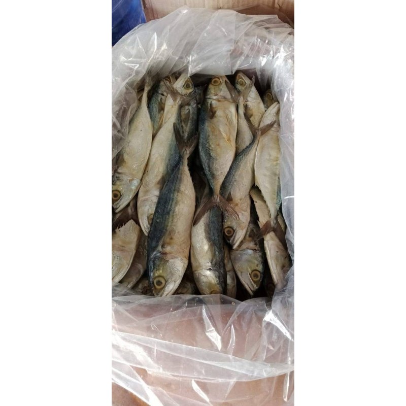 

ikan asin peda hajoran