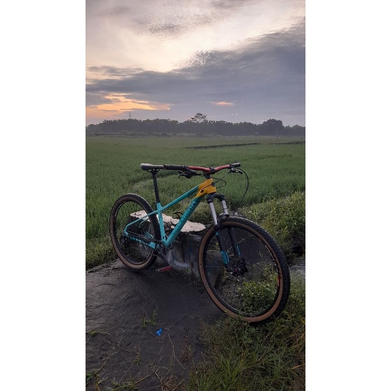 Polygon Xtrada 7 2021 Size S Upgrade