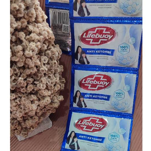 Shampoo Lifebuoy Renteng