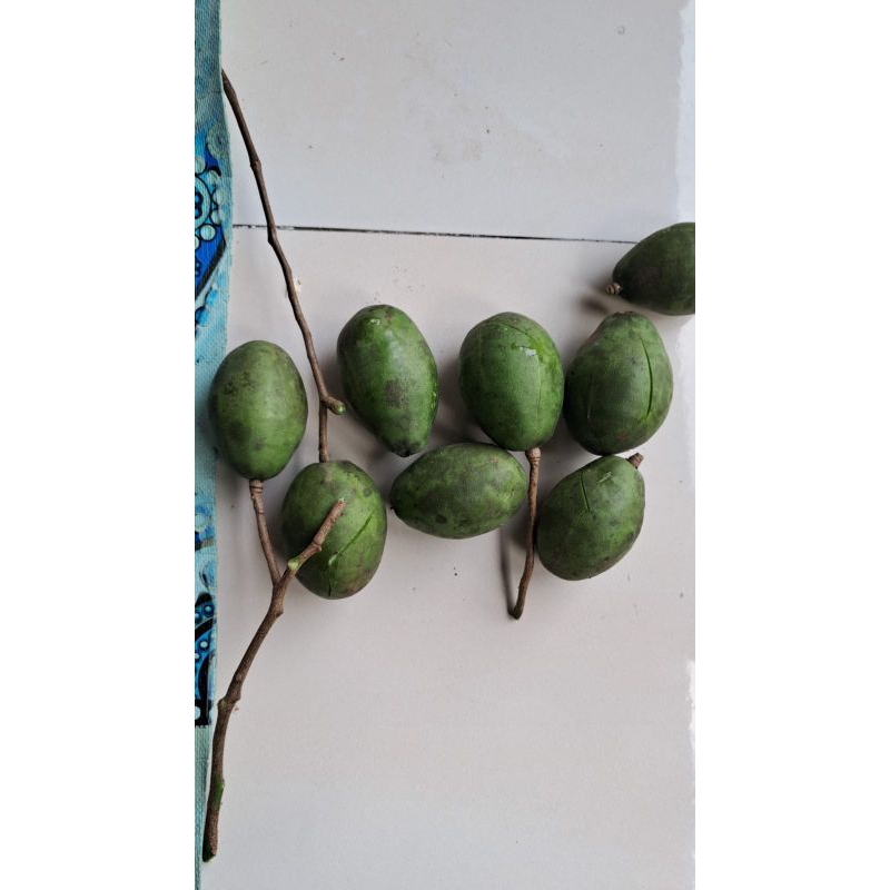 

kedong dong enak buat di makan