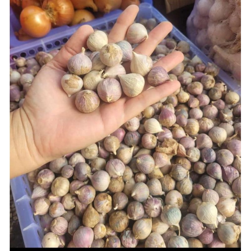 

bawanglanang