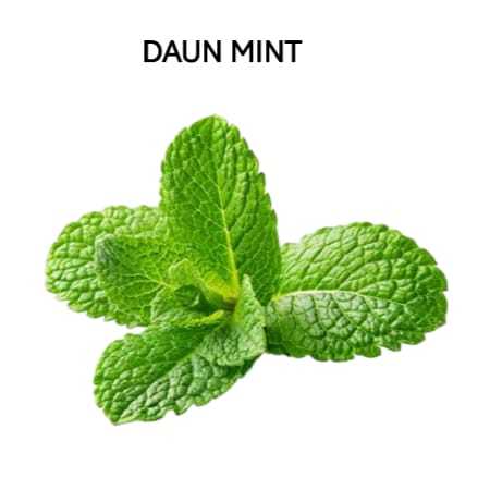 

Daun Mint Segar Fresh Organik