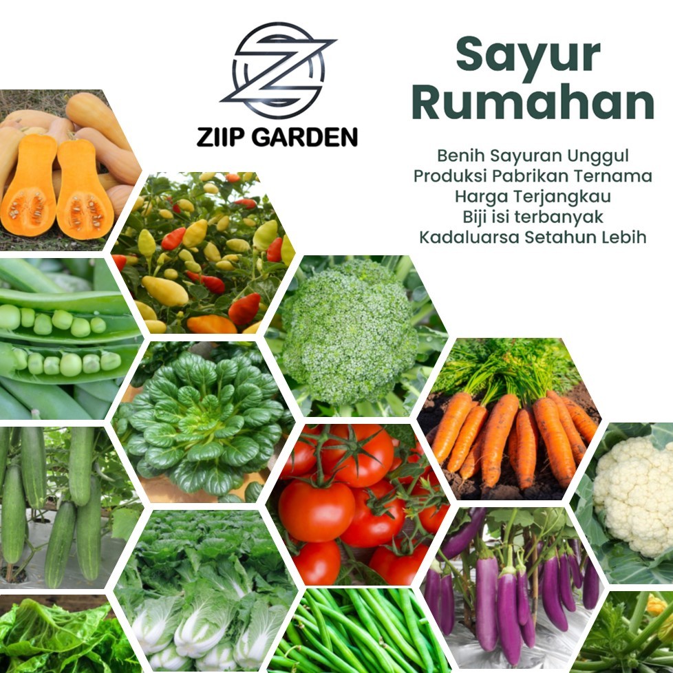 Bibit  Benih Sayur Sayuran Paket Lengkap Varian Unggulan